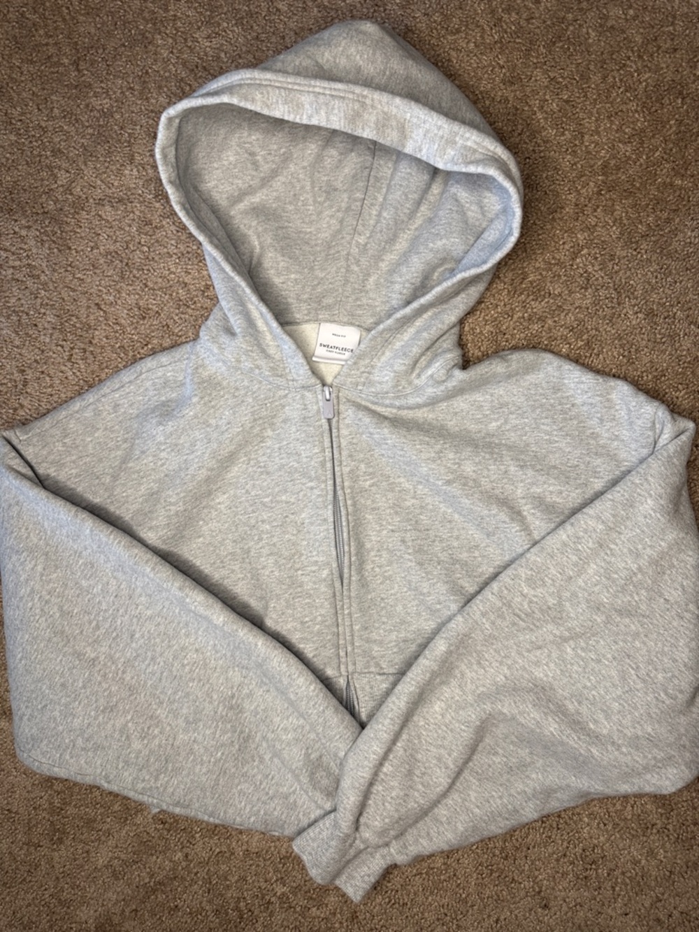 Aritzia Sweatfleece Cozy Fleece Light Gray Zip-Up Hoodie Mega Fit